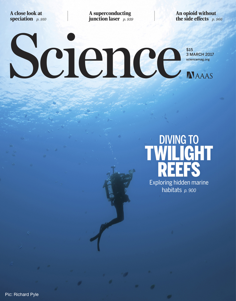 Sonia Rowley gracing the cover of Science. Image by Richard Pyle